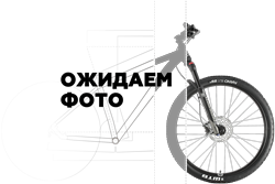 Велосипед Welt Ridge 1.1 D 29 (2024)